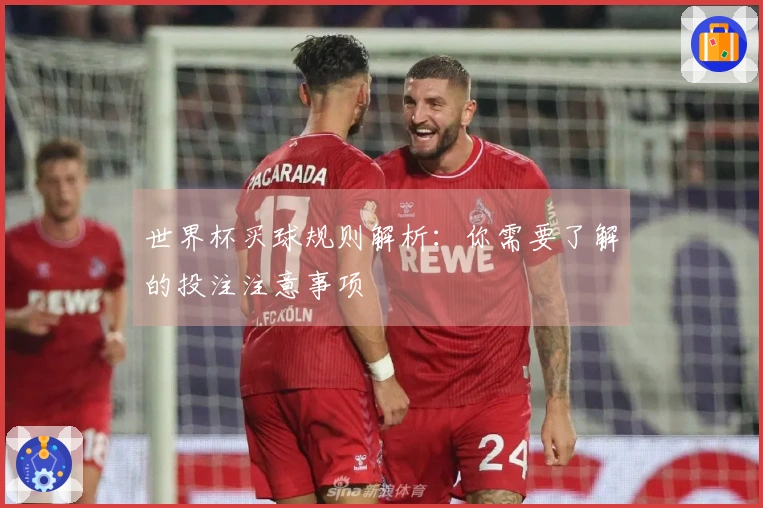 世界杯买球规则解析：你需要了解的投注注意事项