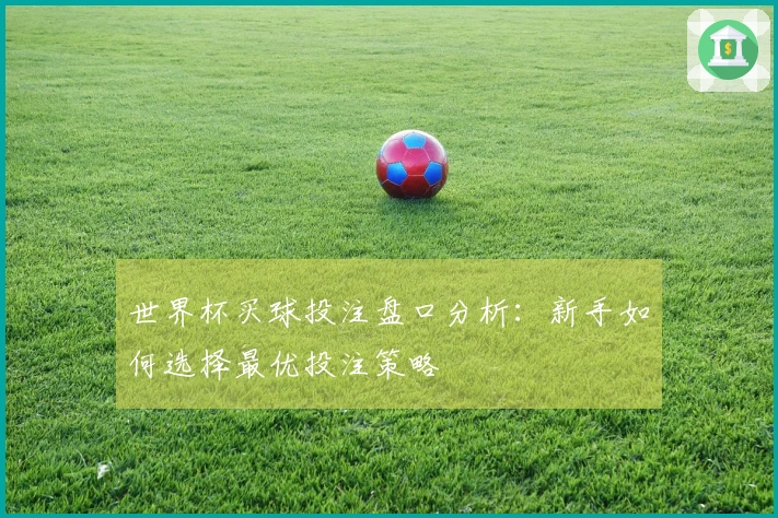 世界杯买球投注盘口分析：新手如何选择最优投注策略