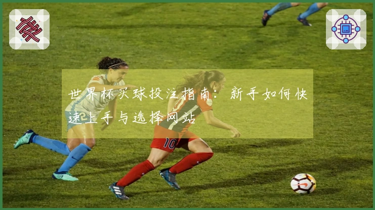 世界杯买球投注指南：新手如何快速上手与选择网站