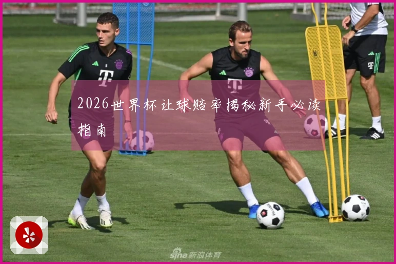2026世界杯让球赔率揭秘新手必读指南