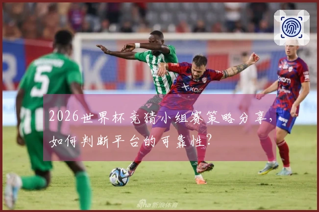 2026世界杯竞猜小组赛策略分享，如何判断平台的可靠性？
