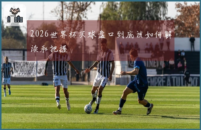 2026世界杯买球盘口到底该如何解读和把握