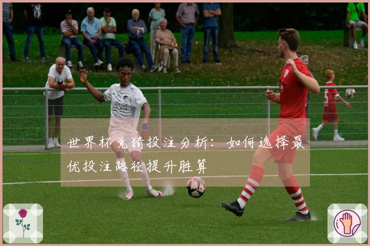 世界杯竞猜投注分析：如何选择最优投注路径提升胜算