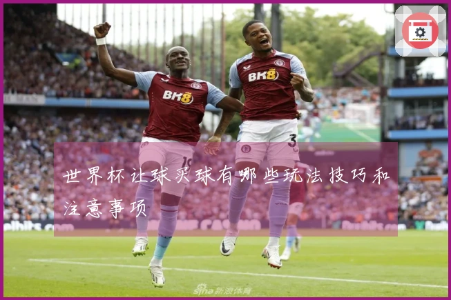 世界杯让球买球有哪些玩法技巧和注意事项
