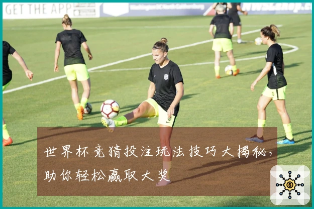 世界杯竞猜投注玩法技巧大揭秘，助你轻松赢取大奖