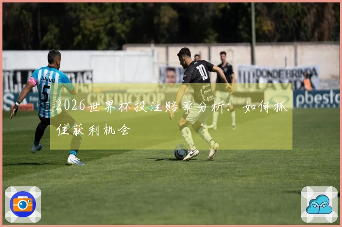 2026世界杯投注赔率分析：如何抓住获利机会