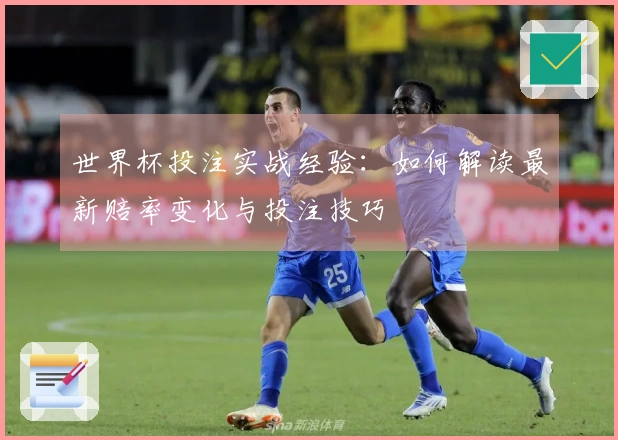 世界杯投注实战经验：如何解读最新赔率变化与投注技巧
