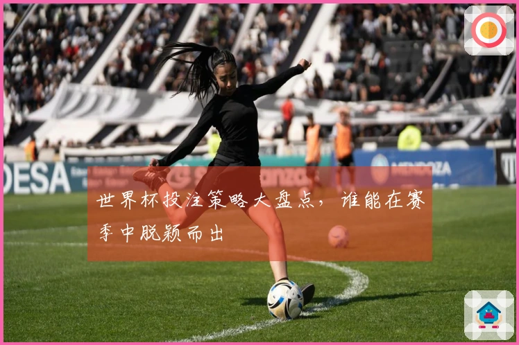世界杯投注策略大盘点，谁能在赛季中脱颖而出