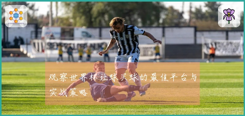 观察世界杯让球买球的最佳平台与实战策略