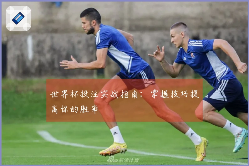 世界杯投注实战指南：掌握技巧提高你的胜率