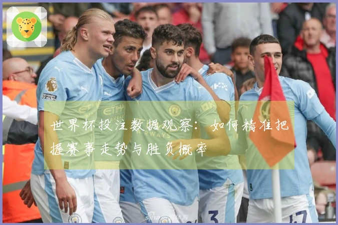 世界杯投注数据观察：如何精准把握赛事走势与胜负概率