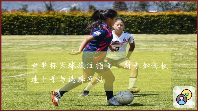 世界杯买球投注指南：新手如何快速上手与选择网站