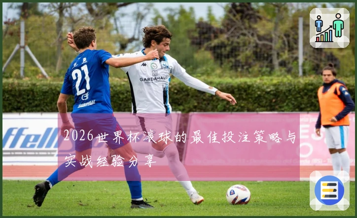 2026世界杯滚球的最佳投注策略与实战经验分享