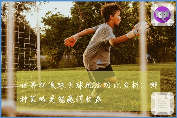 世界杯滚球买球玩法对比分析：哪种策略更能赢得收益