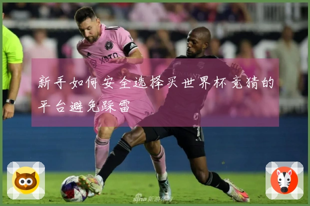 新手如何安全选择买世界杯竞猜的平台避免踩雷