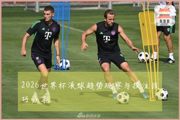 2026世界杯滚球趋势观察与投注技巧分享