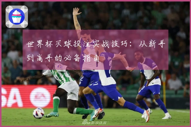 世界杯买球投注实战技巧：从新手到高手的必备指南