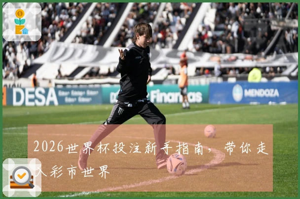 2026世界杯投注新手指南，带你走入彩市世界