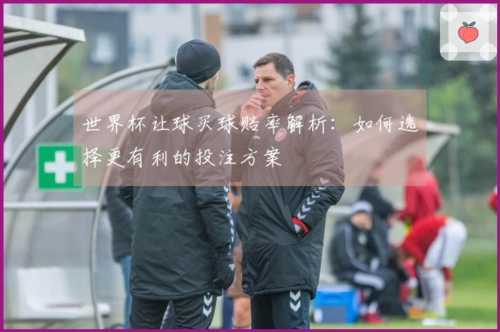 世界杯让球买球赔率解析：如何选择更有利的投注方案